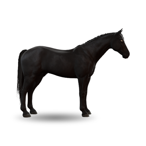Obsidian Crown
